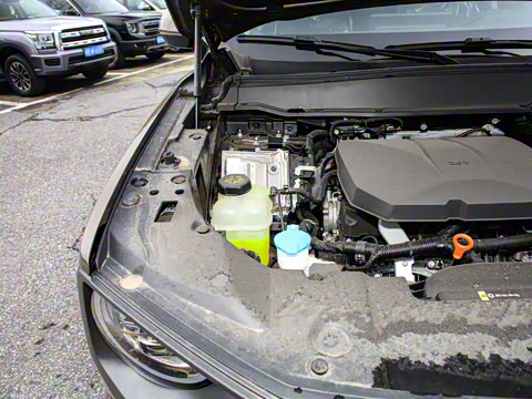 2023�� 2.0T ������Ұ��