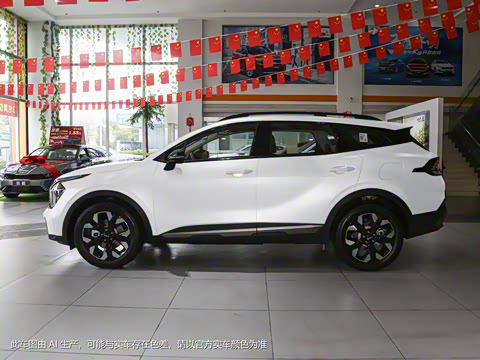 2023�� 2.0T ��������