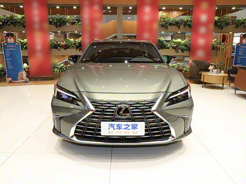 2025�� 300h ������