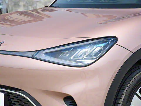 2026�� �鶯������