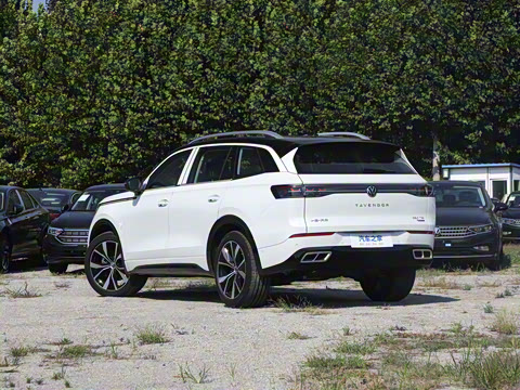 2024�� 380TSI ����R-LineѲ�� ������