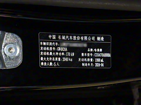 2024�� 2.0T ����Max