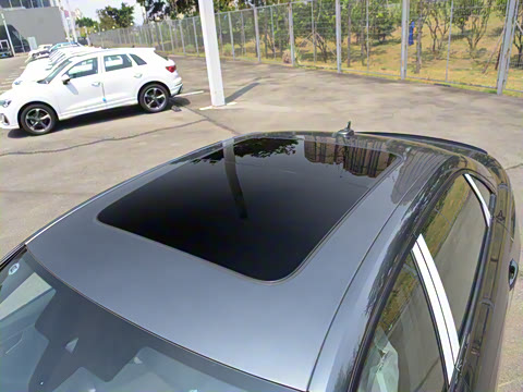 2024�� 40 TFSI quattro RS�׼�ȼ����