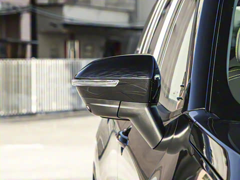 2025�� ������