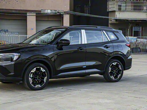 2025�� ������