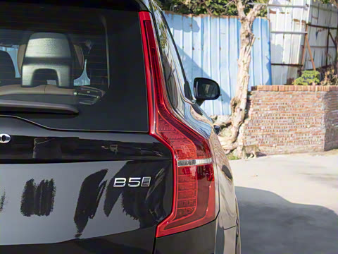 2025�� B5 ���к����� 7��