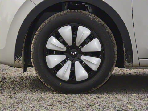 2025�� 333km ������