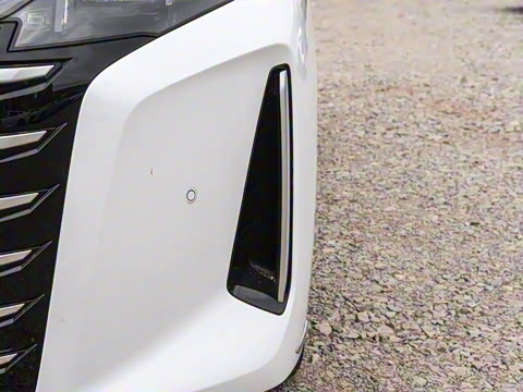 2025�� DM-i 1.5T 100km �캽��