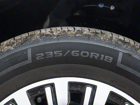 2025�� DM-i 1.5T 100km �캽��