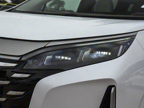 2025�� DM-i 1.5T 100km �캽��