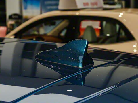 2024�� 401km ������