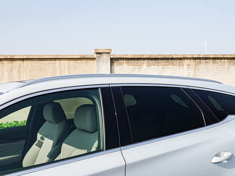 2025�� DM-i 115KM �����