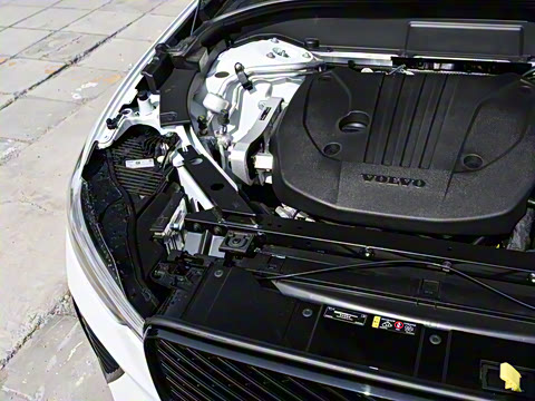 2026�� B5 ������Զ�˶���