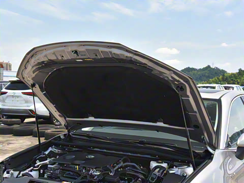 2024�� 2.0GVP ������