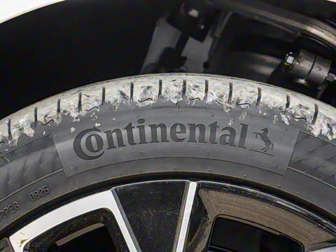 2025�� Max�����