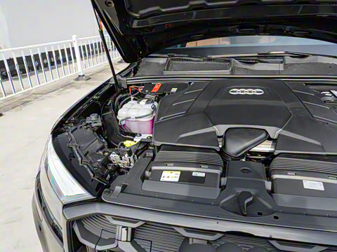 2025�� 55 TFSI quattro S line����ʿ��