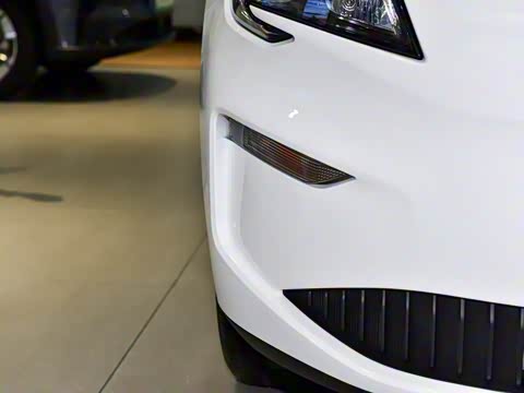 2025�� ��������