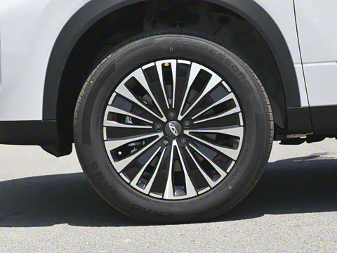 2024�� ������