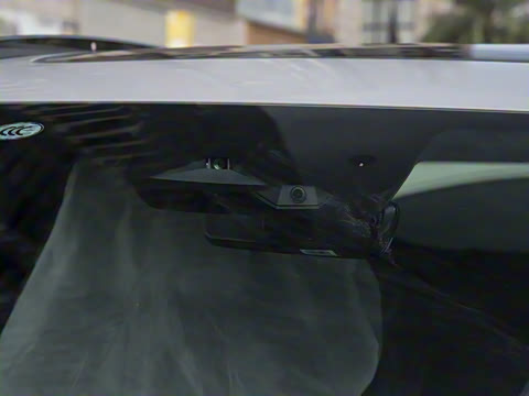 2025�� DM-i 115KM ������