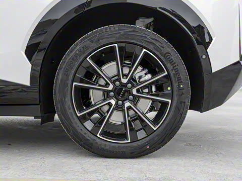 2025�� ������������