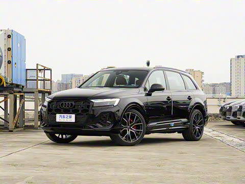 2025�� 55 TFSI quattro S line��ѩ�˶���