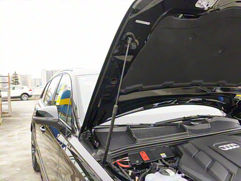 2025�� 55 TFSI quattro S line��ѩ�˶���