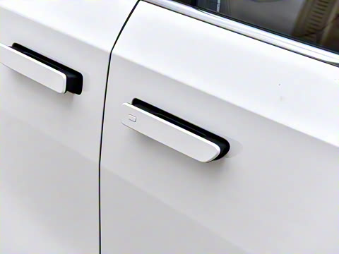 2025�� 527km ɭ�ֳ�������