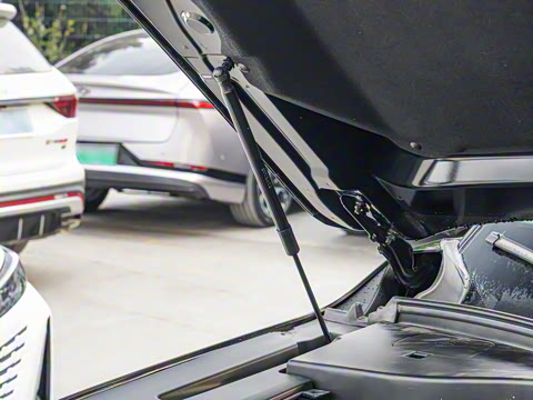 2025�� �캽ϵ�� 2.0TGDI ���������� 5��