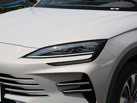 2025�� DM-i 160KM �콢��