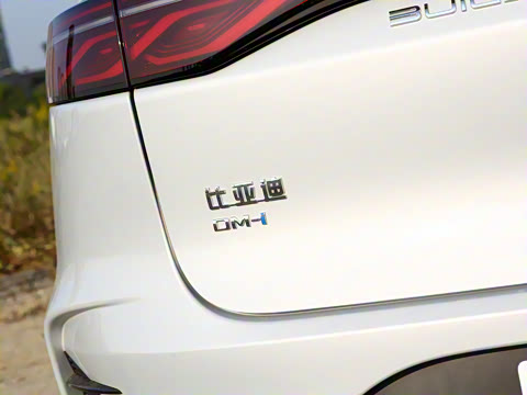 2025�� DM-i 115KM ������