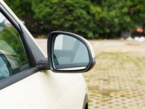 2025�� 310km �ഺ��