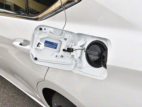 2025�� 300h ������