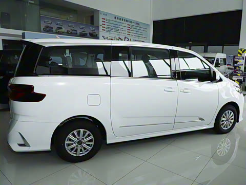 2025�� MAX 2.0T �Զ������� ���� 7��