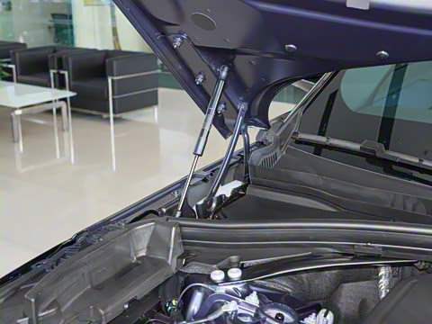 2025�� Dynamic SE