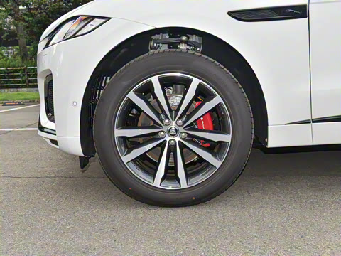 2025�� P250 R-Dynamic SE