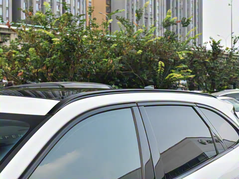 2025�� P250 R-Dynamic SE