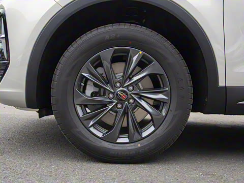 2025�� 2.0T ��������Pro��