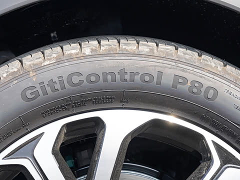 2025�� DM-i 115KM ������