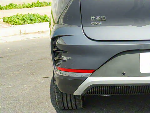 2025�� DM-i 115KM ������