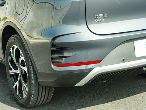 2025�� DM-i 115KM ������