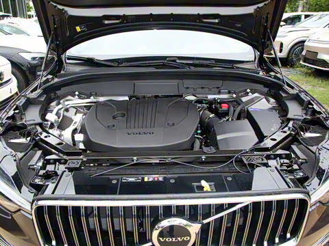 2025�� B5 �������ݺ�����