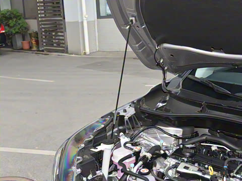 2024�� 2.0L ���ܵ��˫�� ��Ӣ��