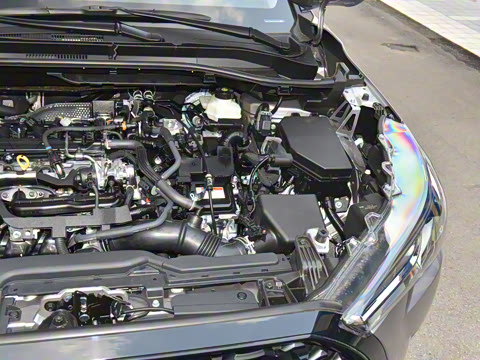 2024�� 2.0L ���ܵ��˫�� ��Ӣ��