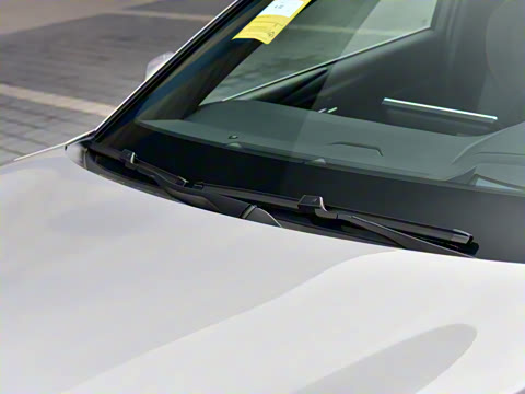 2024�� ˫�� 2.5L XLE����