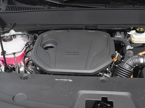 2025�� 55km ������