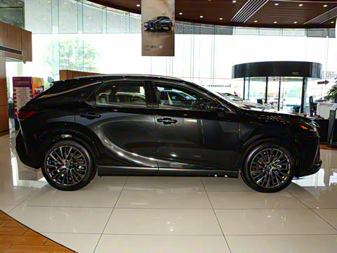 2025�� 350h ����������