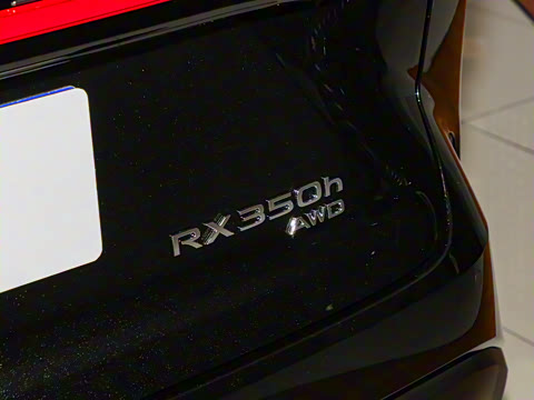 2025�� 350h ����������