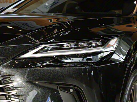 2025�� 350h ����������