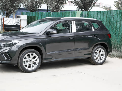 2024�� 280TSI �Զ��ȷ��