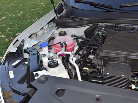 2025�� ������PLUS